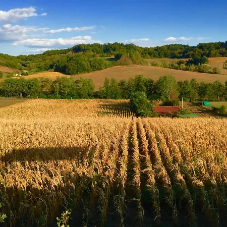 Oda ve Kahvaltı Il Casolare Penna
