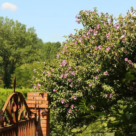Bed & Breakfast Il Casolare *