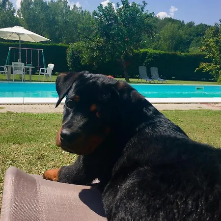 Bed & Breakfast Il Casolare *