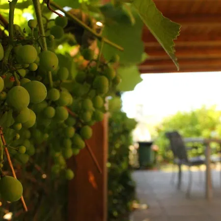 Il Casolare B&B Penna