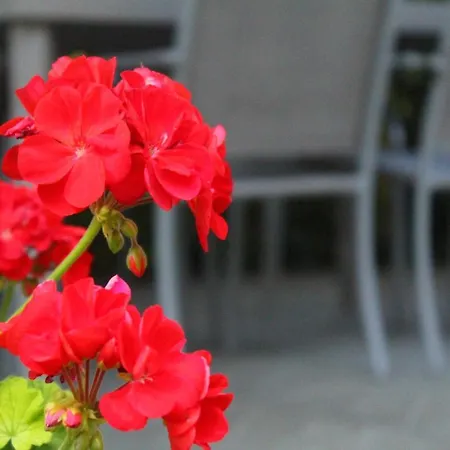 Il Casolare Bed & Breakfast Penna